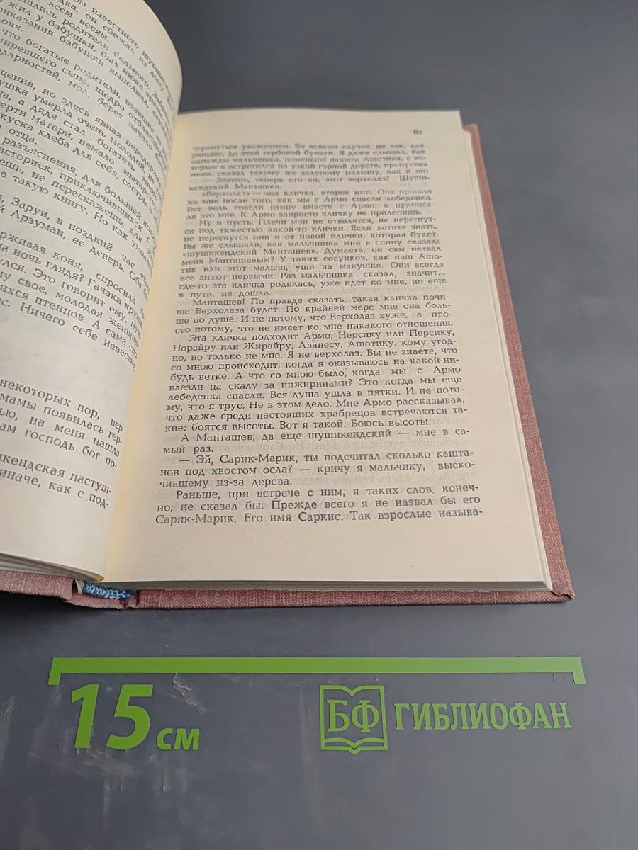 Наш милый Шушикенд