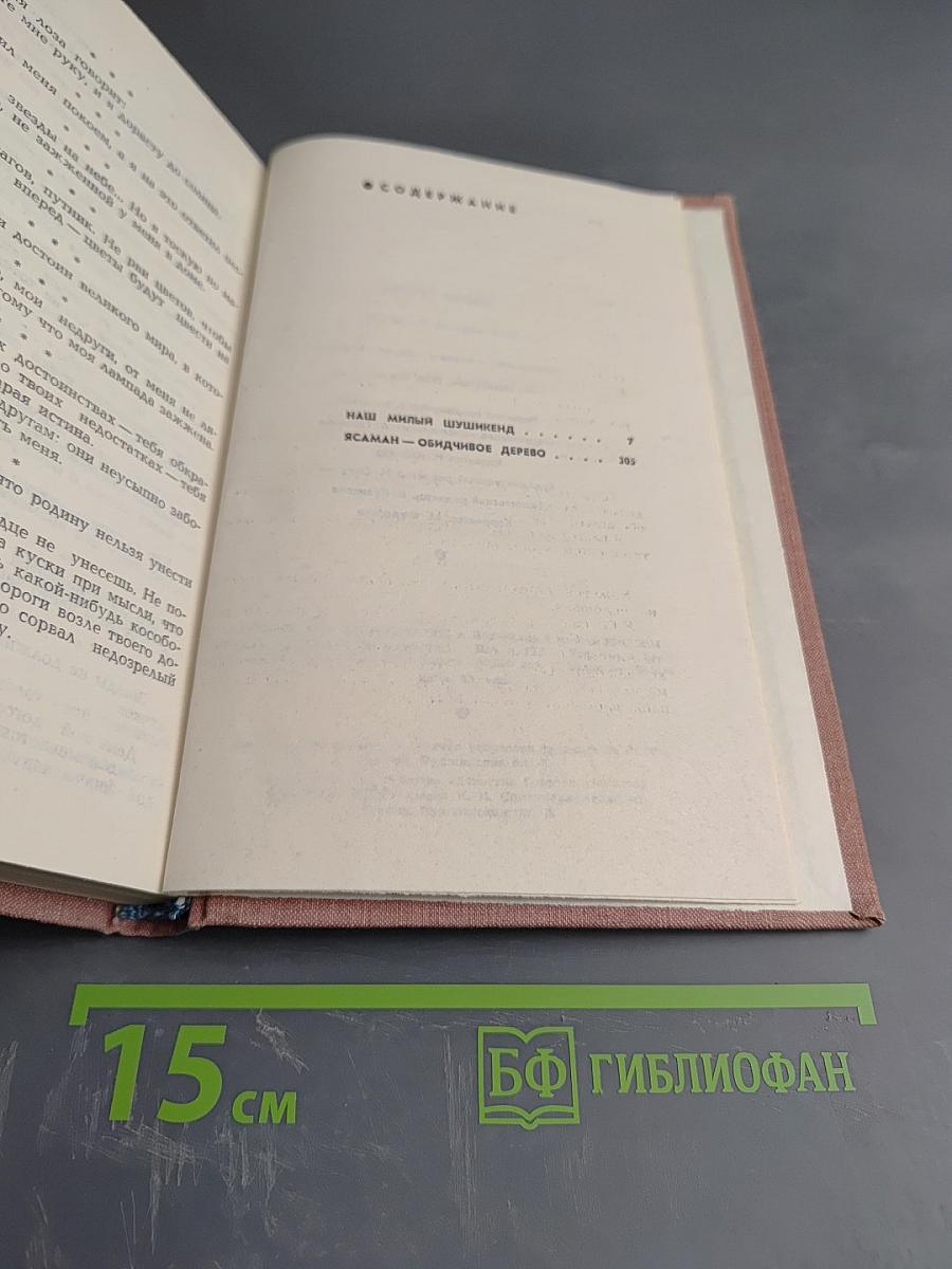 Наш милый Шушикенд