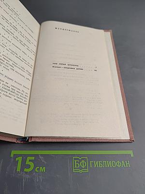 Наш милый Шушикенд