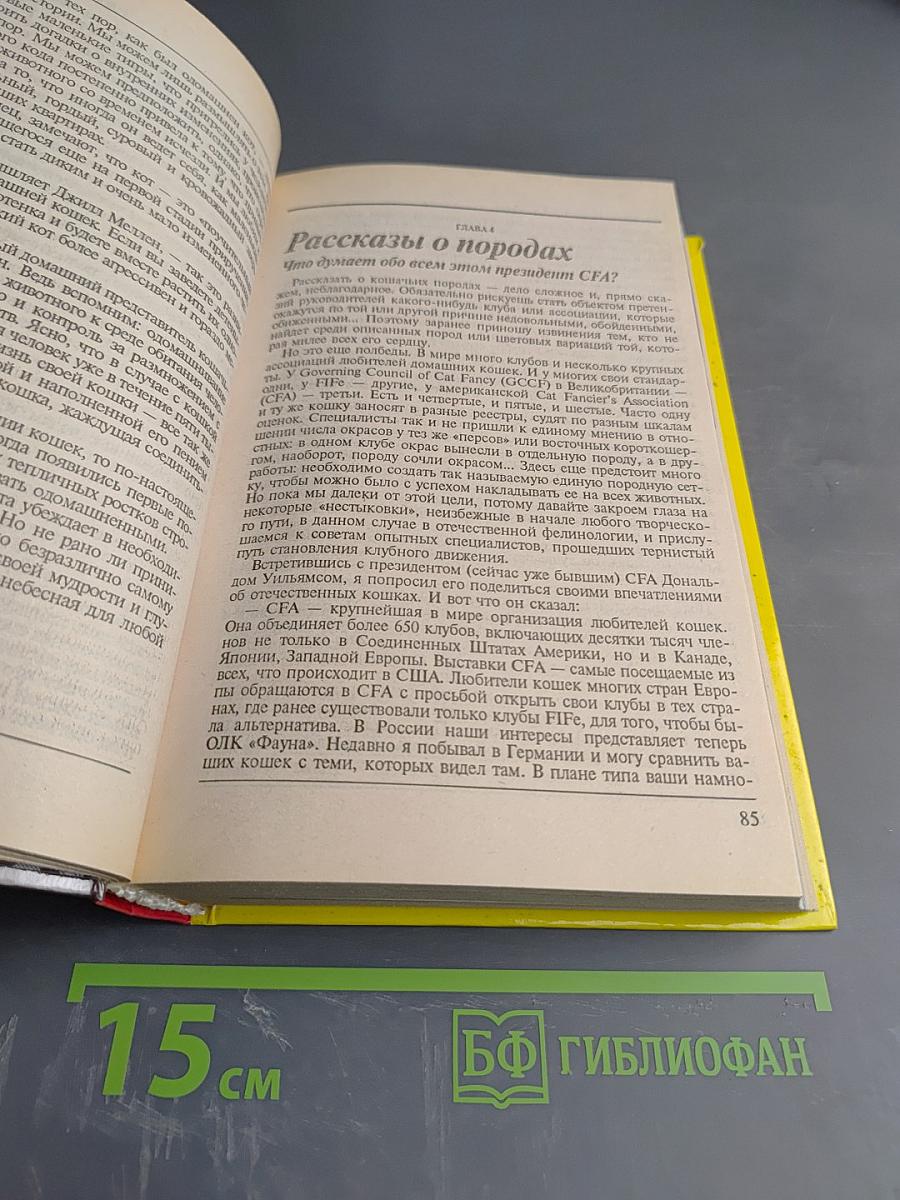 300 кошачьих 'почему?'