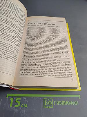 300 кошачьих 'почему?'