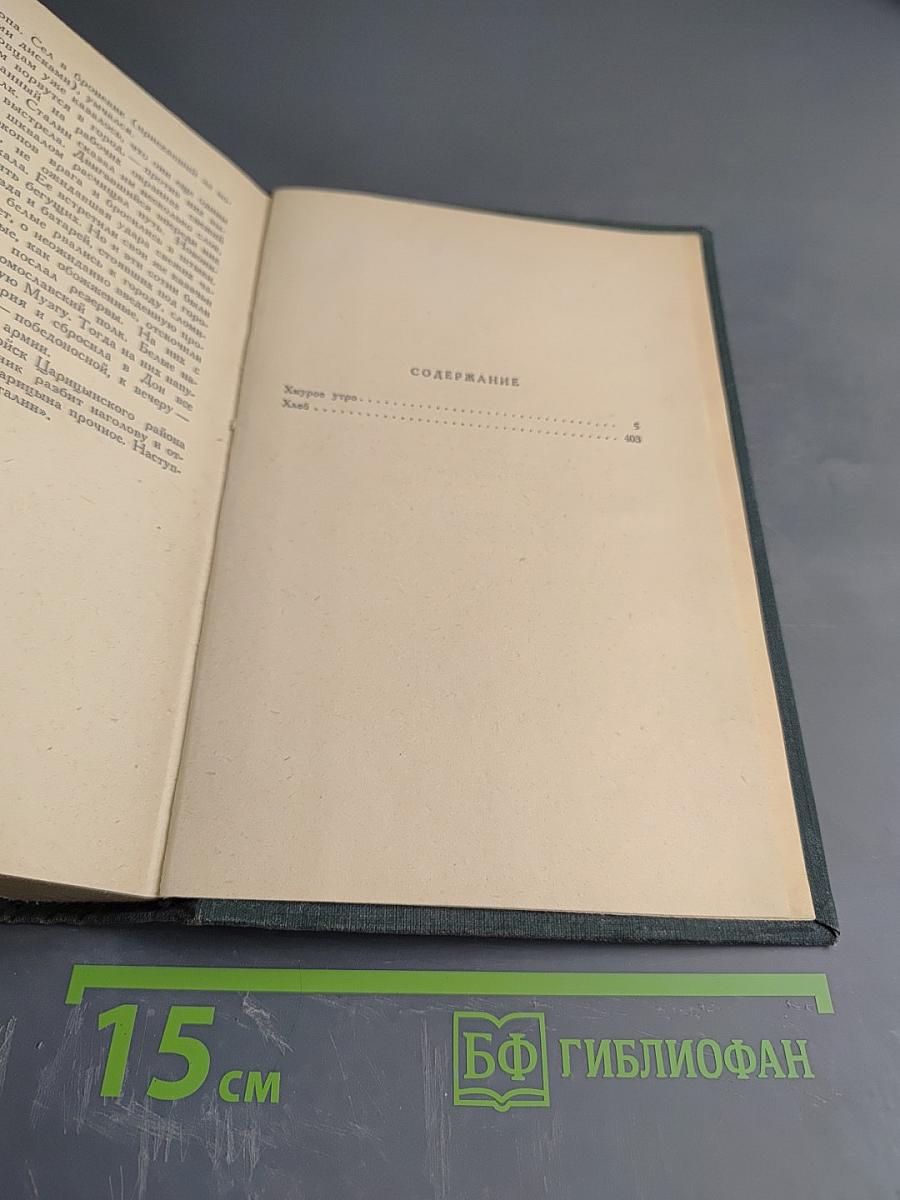Хождение по мукам (Трилогия). Хмурое утро. Хлеб. Том IV