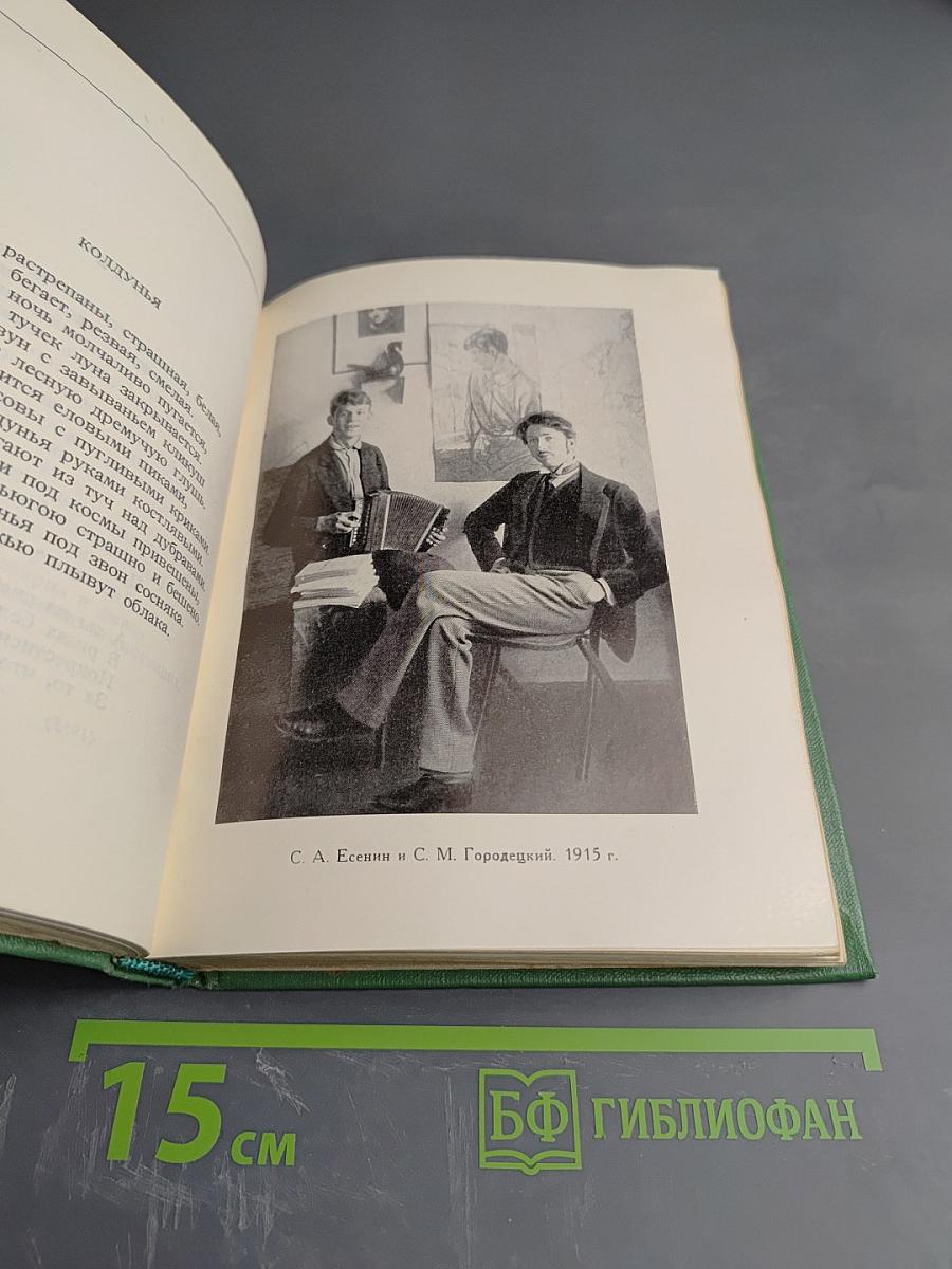 С. А. Есенин. Собрание сочинений. Том 4