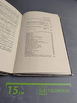 Золотой фараон