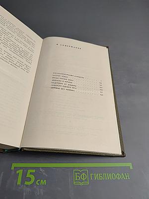 Иероглифы жизни