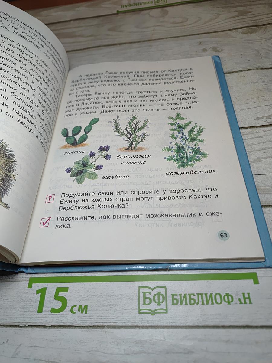 Литературное чтение 1 класс