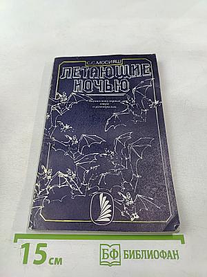 Летающие ночью