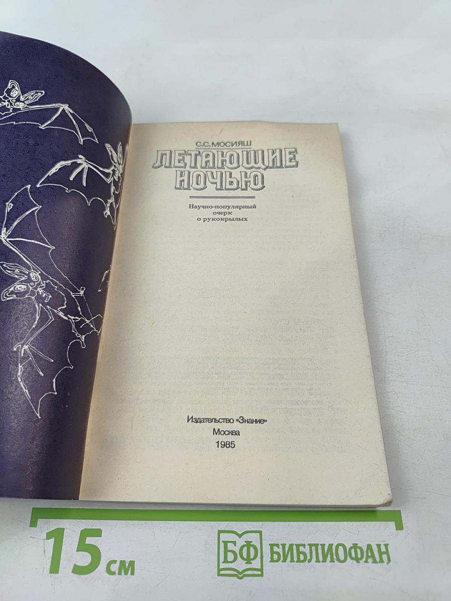 Летающие ночью