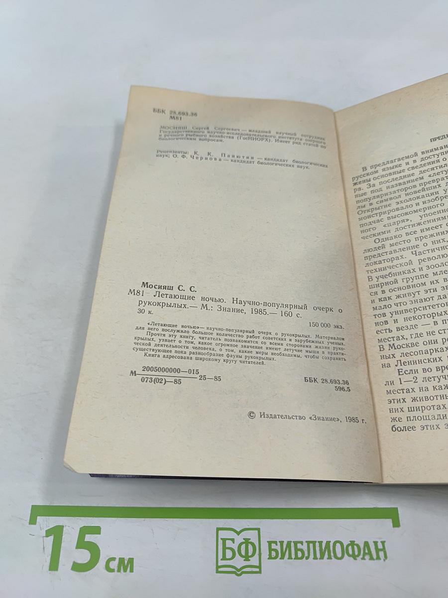 Летающие ночью