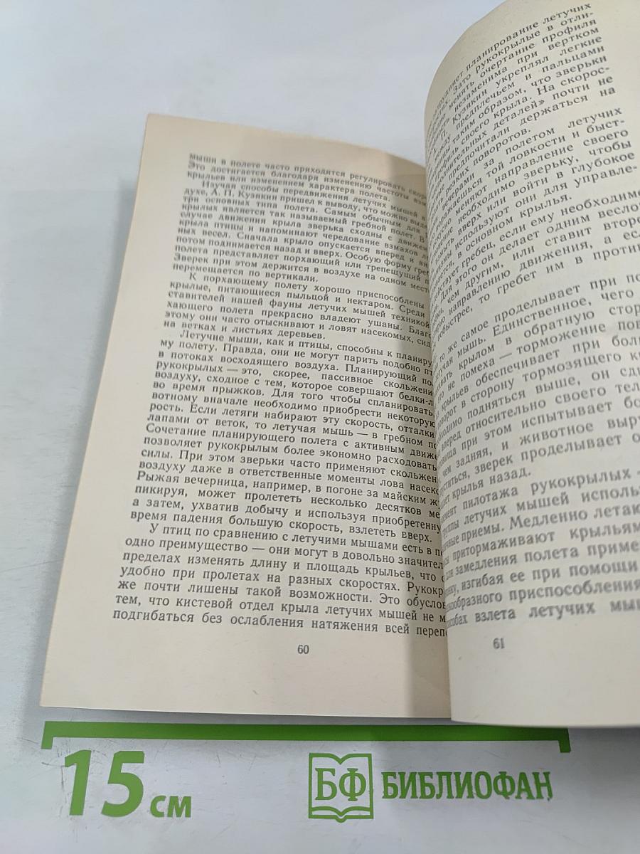 Летающие ночью