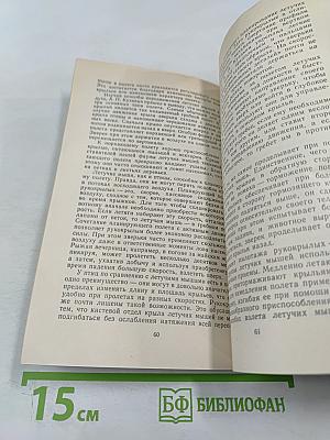 Летающие ночью