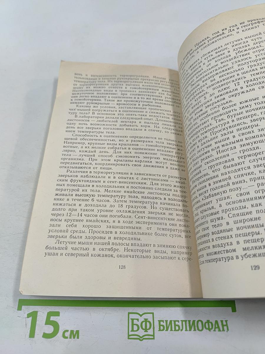 Летающие ночью