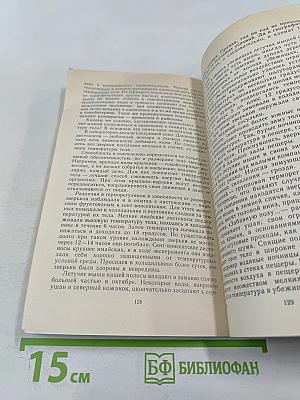 Летающие ночью