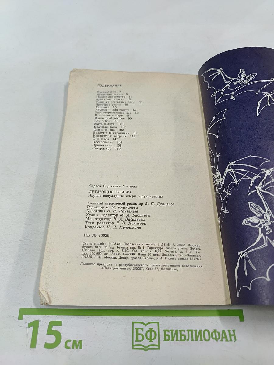 Летающие ночью