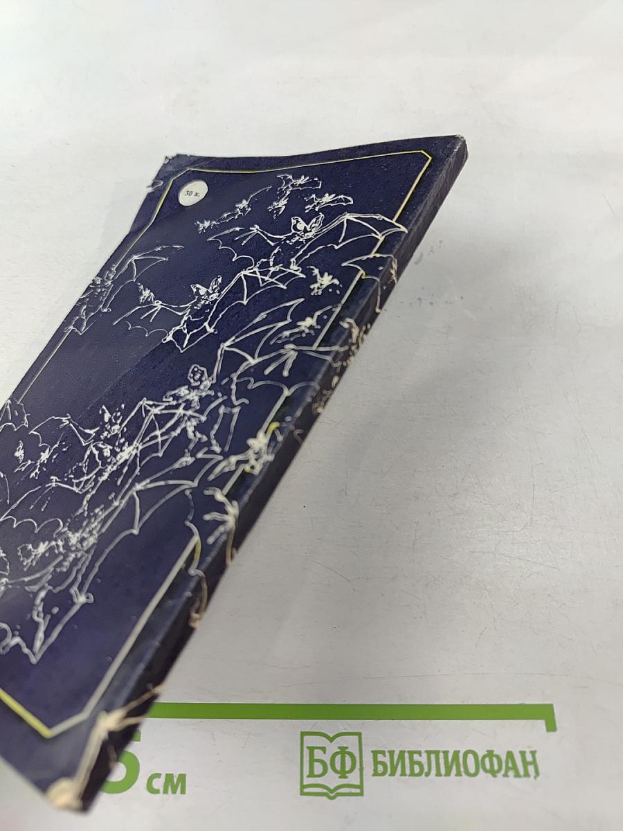 Летающие ночью