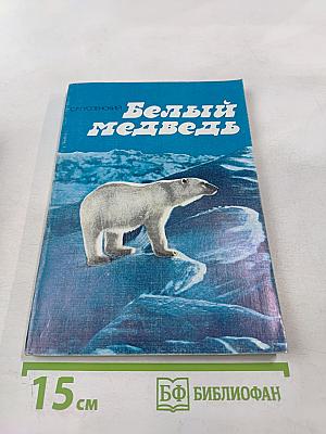 Белый медведь