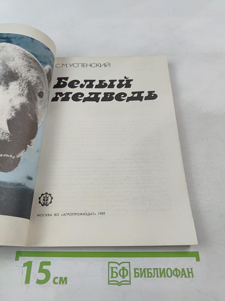 Белый медведь