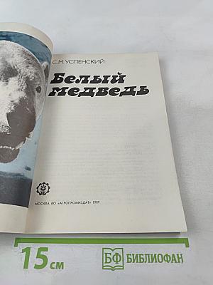 Белый медведь