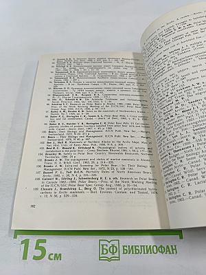 Белый медведь