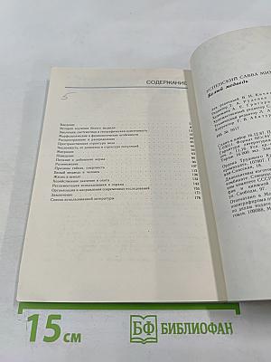 Белый медведь