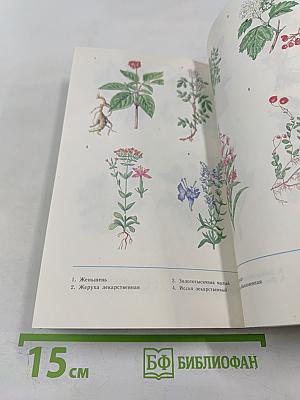 Лекарственные растения