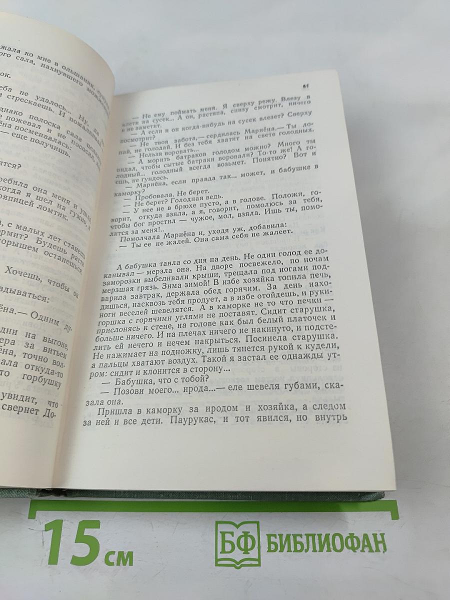 Проданные годы. Книга вторая