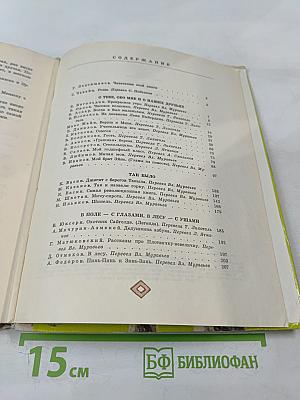 Зеленая роща