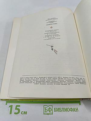 Зеленая роща