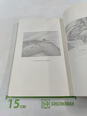 Если заболел ребенок