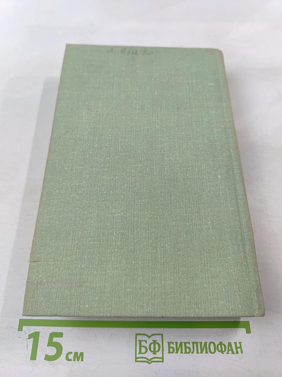 Молниеносный Баязет