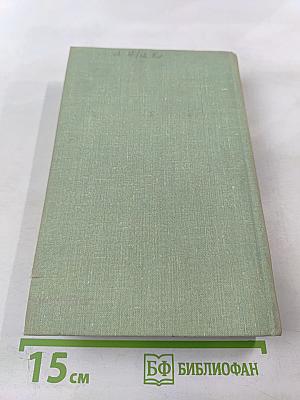 Молниеносный Баязет