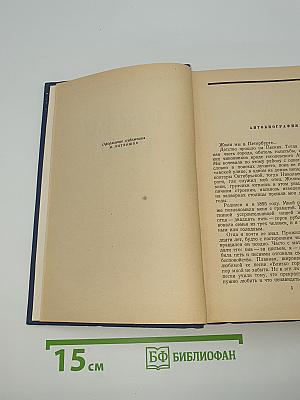 Северная Аврора