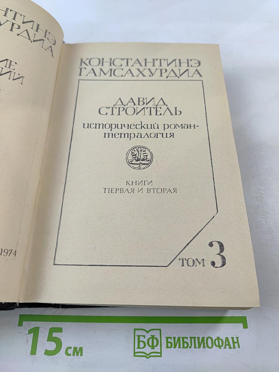 Давид Строитель. Исторический роман-тетралогия. Книги Первая и Вторая. Том 3