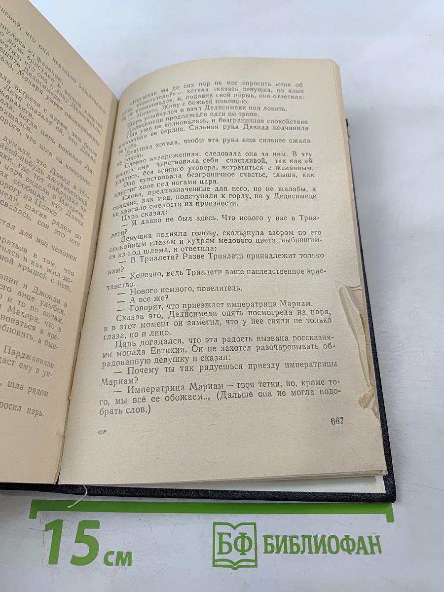 Давид Строитель. Исторический роман-тетралогия. Книги Первая и Вторая. Том 3
