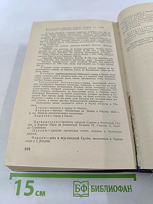 Давид Строитель. Исторический роман-тетралогия. Книги Первая и Вторая. Том 3