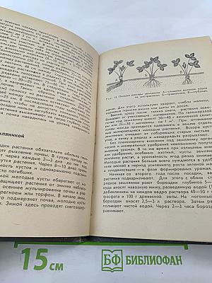 Советы садоводу-любителю