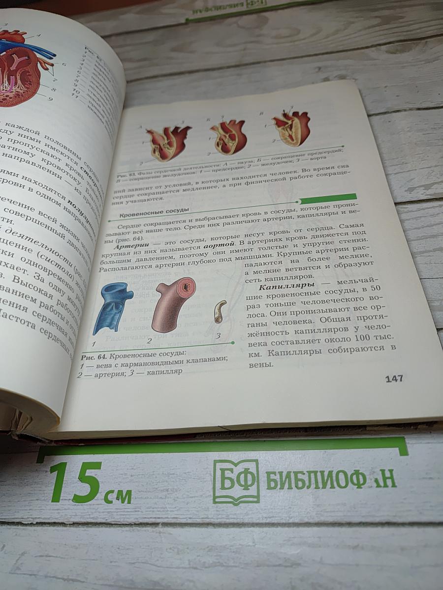 Биология 9 класс