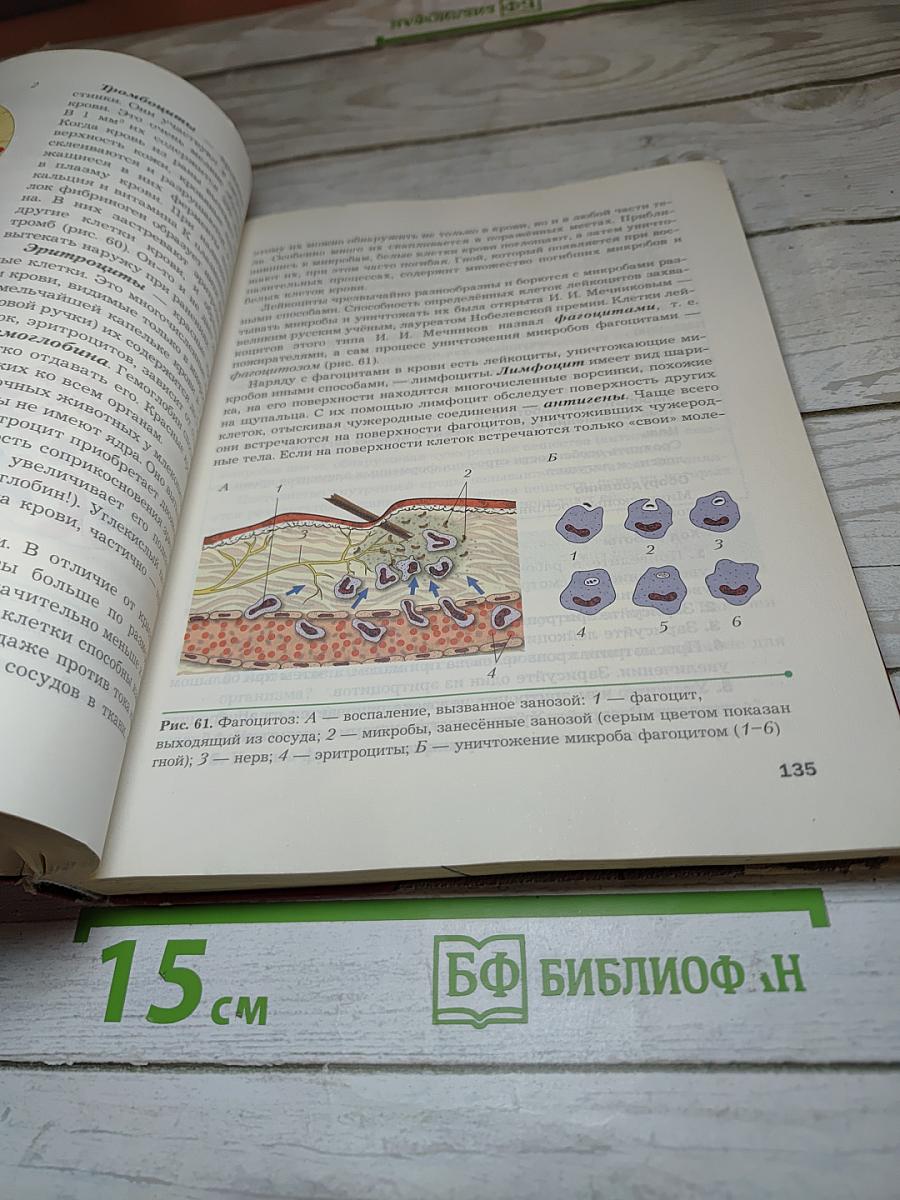 Биология 9 класс
