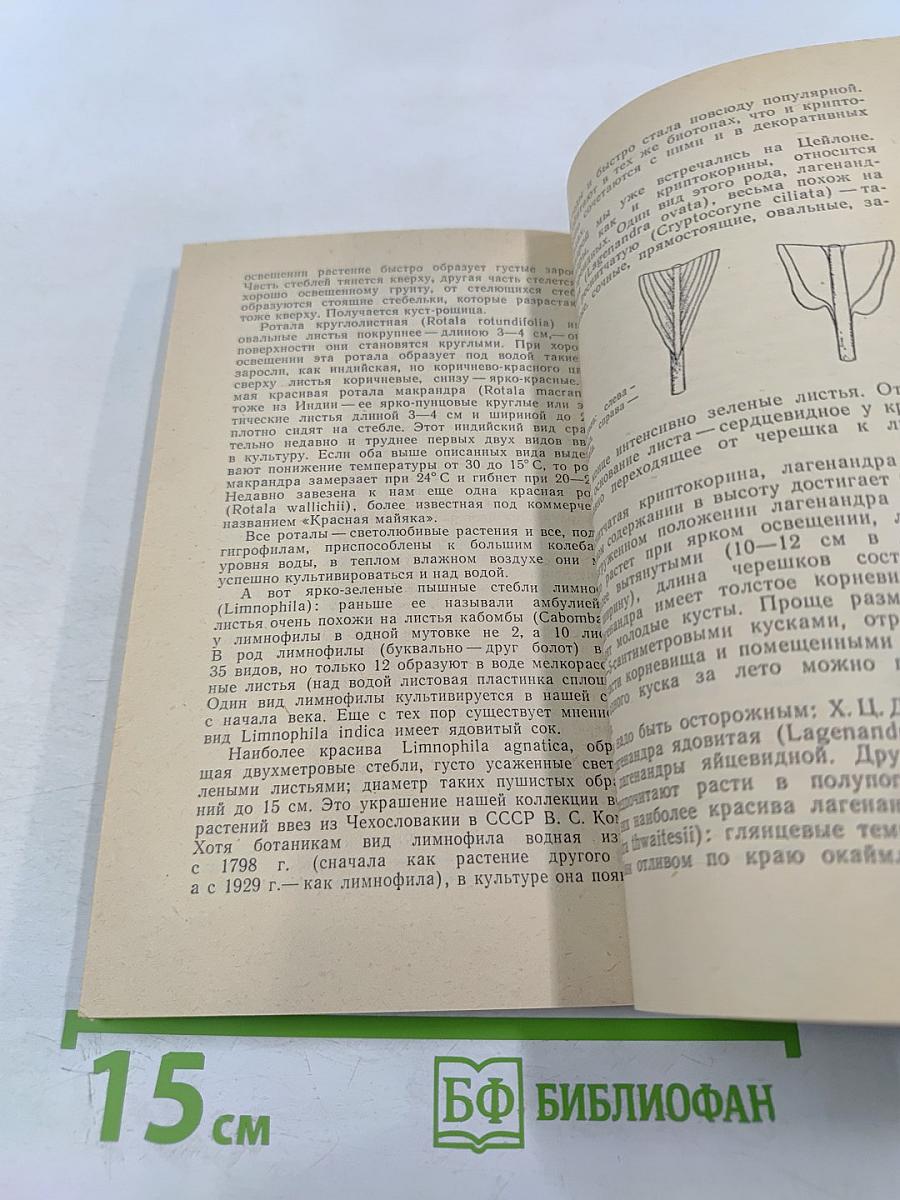 По аллеям гидросада