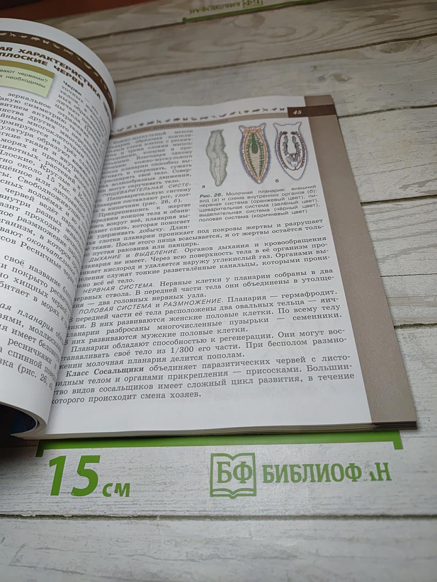 Биология 7 класс