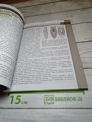 Биология 7 класс