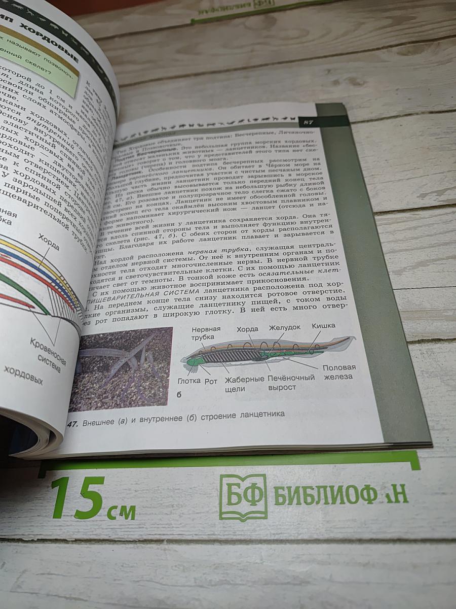 Биология 7 класс
