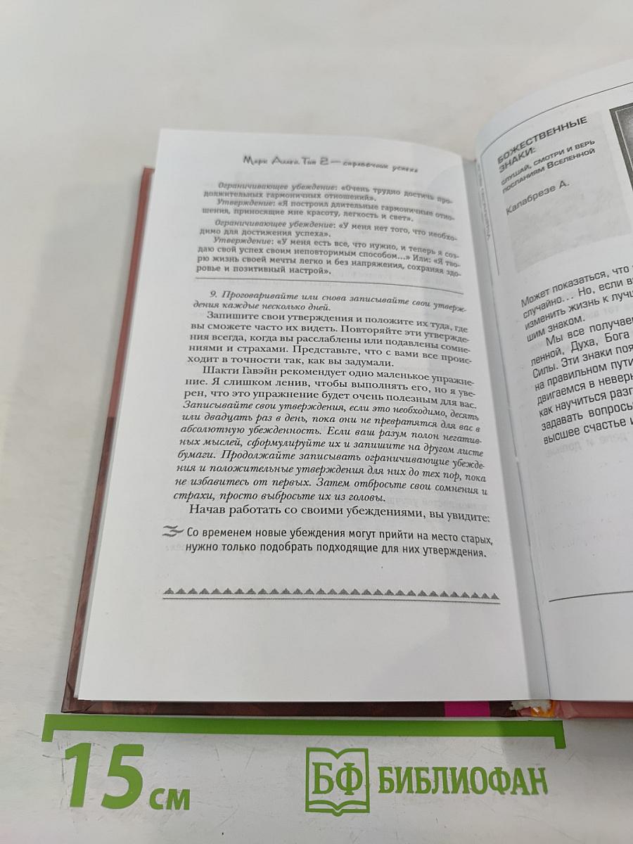 Сара. Пернатые друзья - это навсегда. Новый уровень воплощения желаний. Книга 1