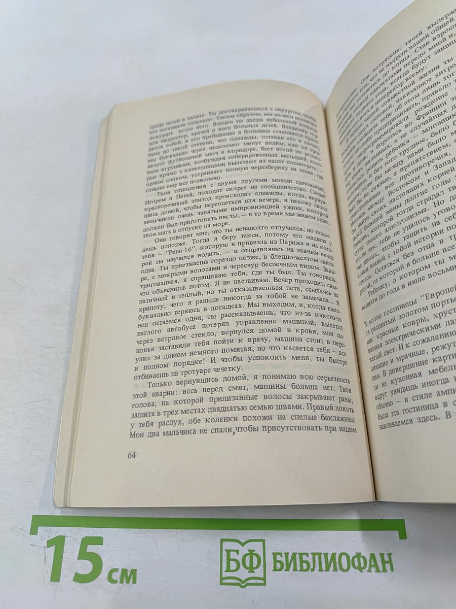 Владимир, или Прерванный полет