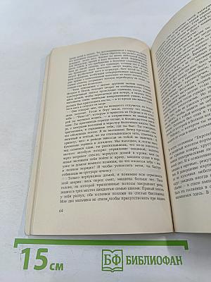 Владимир, или Прерванный полет