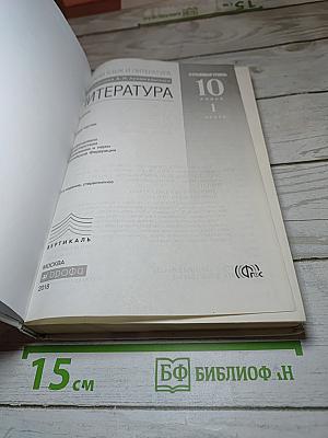 Литература. 10 класс. Часть 1