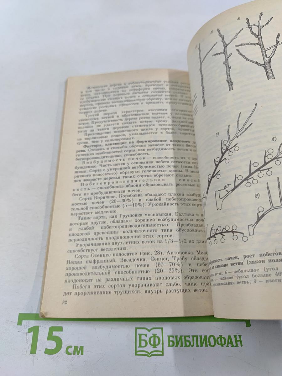 Чудесные яблоньки