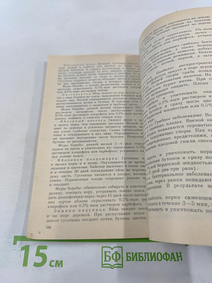 Чудесные яблоньки