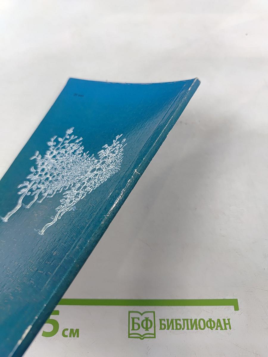 Чудесные яблоньки