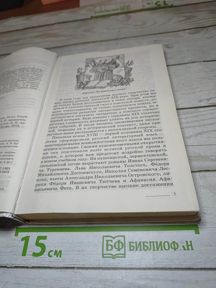 Литература. 10 класс. Часть 1